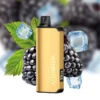 Alibarbar Ingot 9000 Disposable Vape – Blackberry Ice