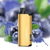 Alibarbar Ingot 9000 Disposable Vape – Blueberry Blast