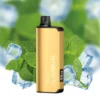 Alibarbar Ingot 9000 Disposable Vape – Cool Mint