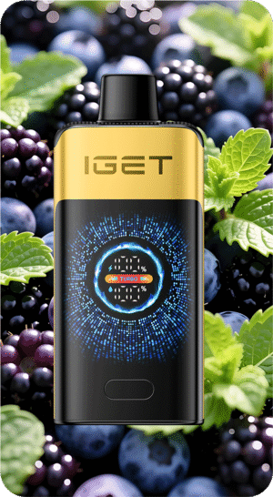 IGET FALCON (25000 PUFFS) Black Forest