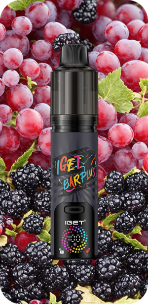 IGET BAR PLUS V4 (15000 PUFFS) Blackberry Grape