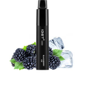 IGET LEGEND (4000 PUFFS) Blackberry Ice