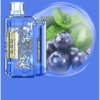IGET FLARE B10000 Blueberry Mint