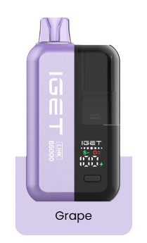 IGET LINK B6000 Grape