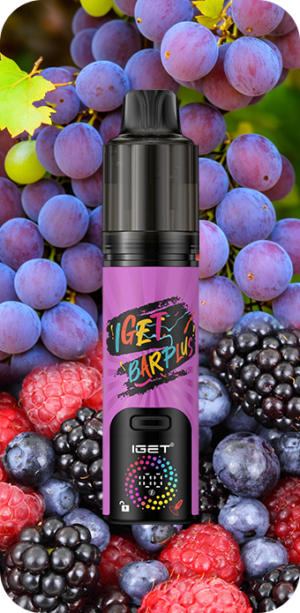 IGET BAR PLUS V4 (15000 PUFFS) Grape Berry