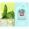 IGET ROCK B5000 Mountain Spring Mint