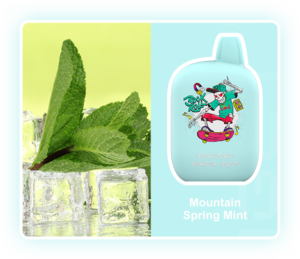 IGET ROCK B5000 Mountain Spring Mint