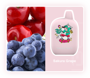 IGET ROCK B5000 Sakura Grape
